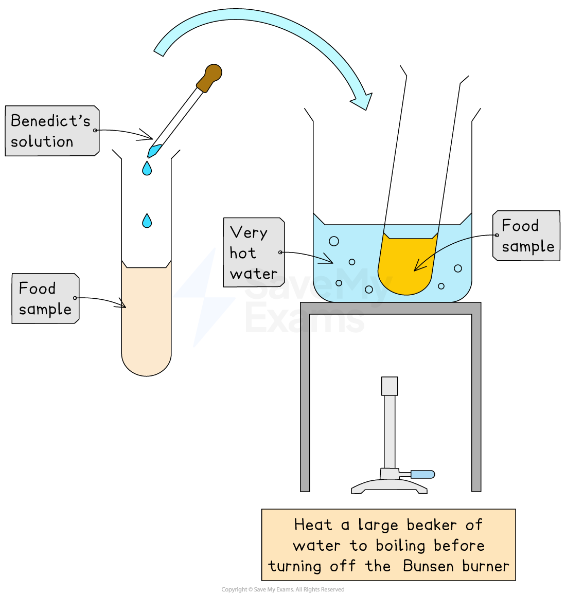 Benedict’s Test
