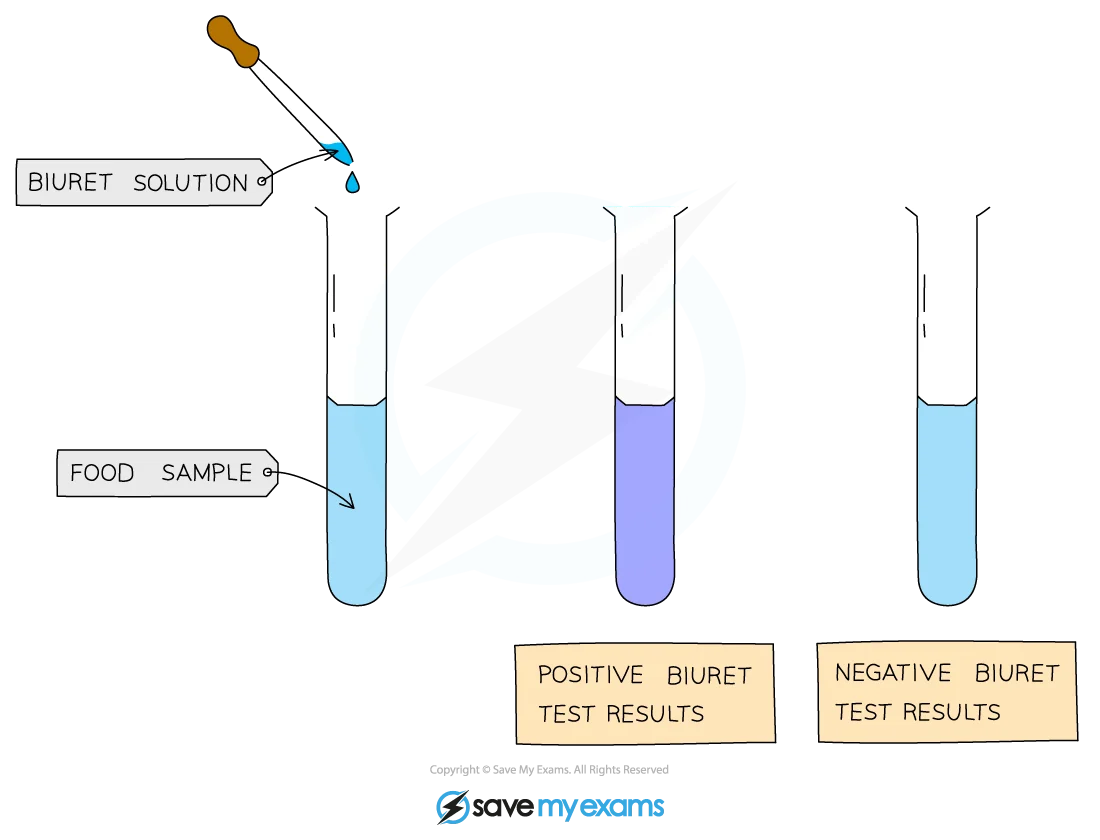 Biuret Protein Test