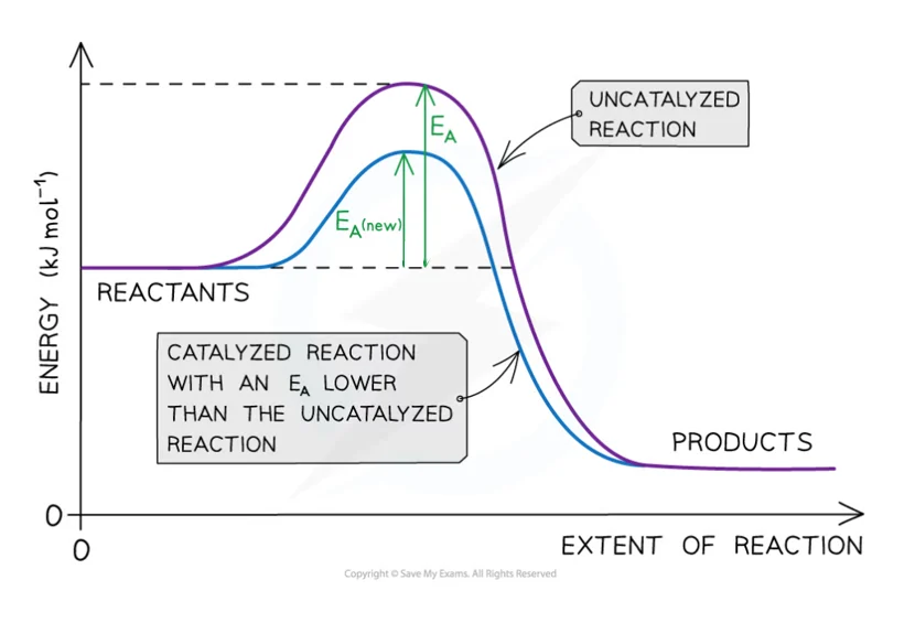 Diagram showing catalyst effect on reaction rate and activation energy