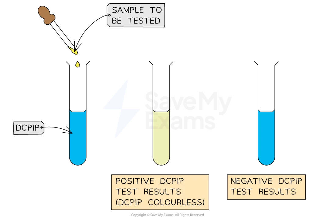 DCPIP Test