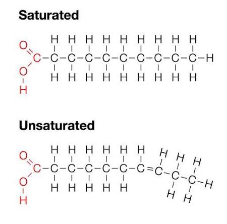 Diagram showing saturated vs unsaturated fatty acid structures