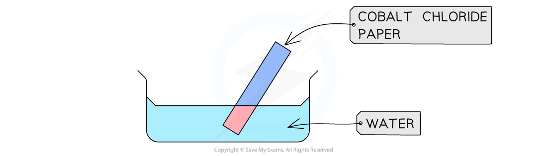 Cobalt Chloride Water tests diagram