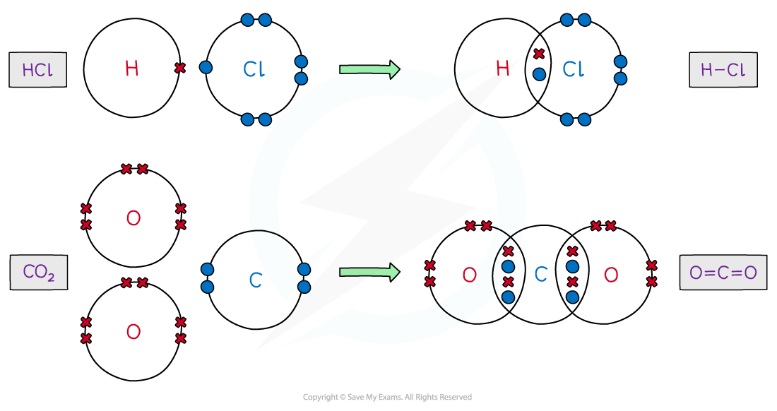 Covalent dot and cross