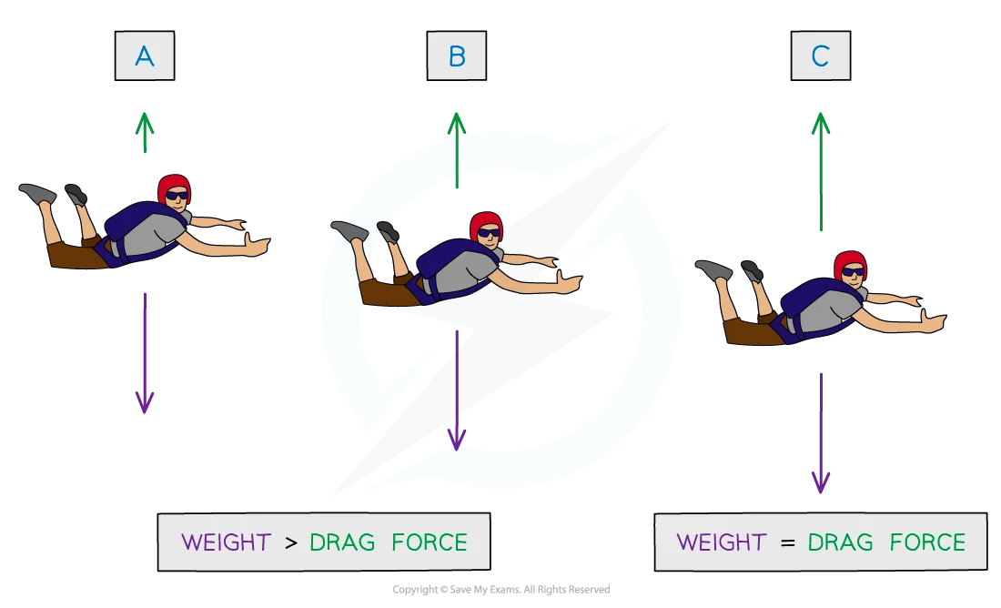 Image depicting terminal velocity